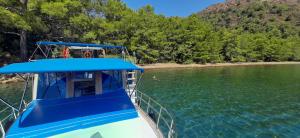un bateau bleu et blanc dans l'eau dans l'établissement Dalyan Boat Tours, à Ortaca