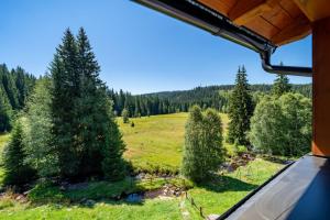 a view of a field and trees from a house at Aparthotel Mádr in Modrava