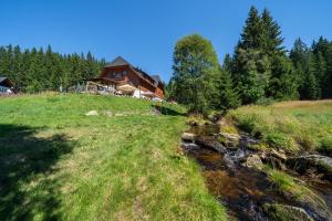 a house on a hill next to a stream at Aparthotel Mádr in Modrava