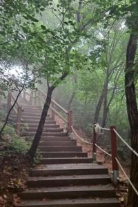 Φωτογραφία από το άλμπουμ του Greenfeel House σε Jung-gu