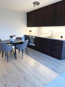 Kuchyň nebo kuchyňský kout v ubytování Lonid Apartment