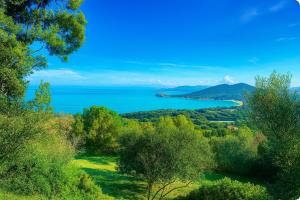 a view of the ocean from a hill with trees at Azulik Corsica in Corbara