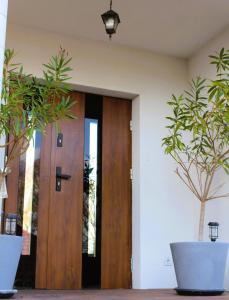 une porte en bois avec deux plantes en pot devant dans l'établissement Domki nad jeziorem Ostoja Głuszyńska, à Potołówek