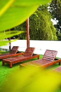 Zahrada ubytování Hotel Lydna Ki'n + 16 fotografií