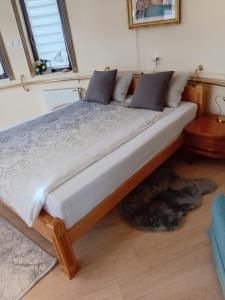 ein Bett in einem Schlafzimmer mit einer Katze, die auf dem Boden liegt in der Unterkunft Studio Carobna Dunja in Banja Koviljača