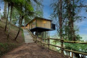 una casa en un árbol en una colina en el bosque en Unique, en Guatapé