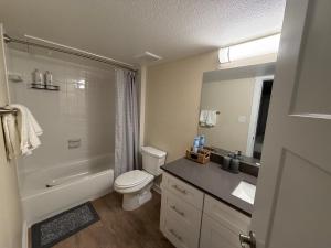 Koupelna v ubytování Stylish Stay Near AT&T and Six Flags Free Parking