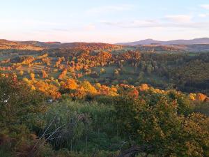 an autumn view from the top of a hill at Auberge & Camping Sabatoux in Montusclat +105 photos