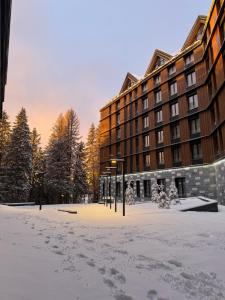 Το Apartman Kopaonik Woodside 106 τον χειμώνα