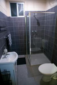 a bathroom with a shower and a toilet and a sink at Cave Place Units in Coober Pedy