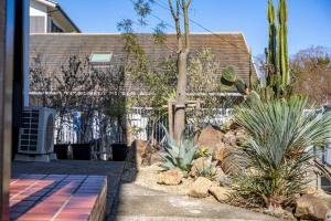 ein Garten mit Kakteen und Pflanzen vor einem Gebäude in der Unterkunft ゲストハウス三浦 in Miura