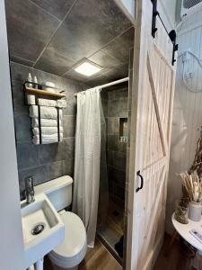 a bathroom with a toilet and a sink and a shower at Crows Nest Casita in Gulf Shores