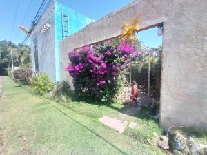 Zahrada ubytování Habitación Terraza 1