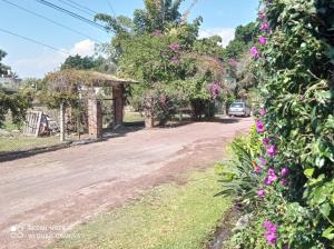 Zahrada ubytování Habitación Terraza 1