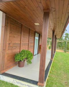 Κήπος έξω από το Casa temporada Bela Vista