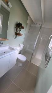a bathroom with a shower and a toilet and a sink at Cottage Atypique in Saint-Laurent-de-la-Prée