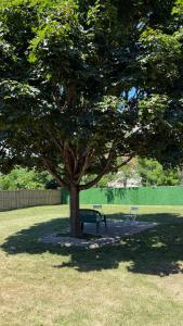 un banc sous un arbre dans un parc dans l'établissement Brand new 2 bedroom basement apartment, à Ajax 14 autres photos