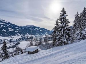 Το Apartments Waldinger Top 2 τον χειμώνα