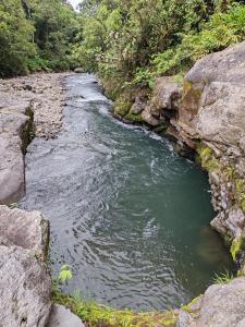 Loodusmaastik puhkemaja lähedal +37 fotot