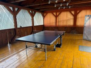 a ping pong table in a room with wooden floors at Villa Bilugu in Valea de Brazi