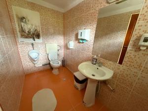 a bathroom with a sink and a toilet and a mirror at Villa Bilugu in Valea de Brazi +13 photos