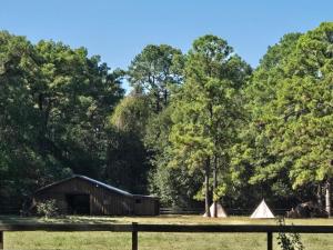 Trueheart Farm في Crosby: حظيرة وخيام في حقل به أشجار