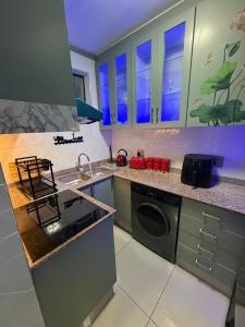 Kuchyň nebo kuchyňský kout v ubytování Flowsort Grand Apartments