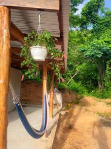 Κήπος έξω από το Casa Sabai Sabai +4 φωτογραφίες