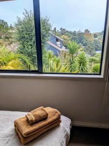 Příroda nedaleko apartmánu + 21 fotografií