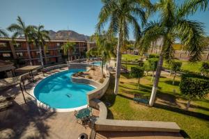 an overhead view of a pool at a hotel with palm trees at Hotel Colonial Hermosillo in Hermosillo