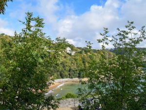 a view of a beach with trees on a hill at Estuary House Flat 3 in Salcombe