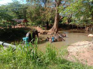a group of people in the water with an elephant at Rangiri Villa Sigiriya in Dambulla