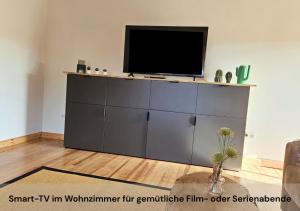 TV a/nebo společenská místnost v ubytování Ferienwohnungen Schwarzhof -Hanfdell