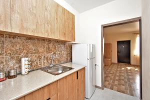 GeghanistTransit HoteL的带水槽和冰箱的厨房