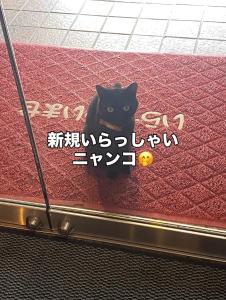 Κατοικίδιο ή κατοικίδια επισκεπτών που μένουν στο Yadoya Tsubaki +18 φωτογραφίες