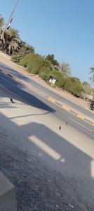 une rue avec deux oiseaux au bord de la route dans l'établissement Villa Room 1, à Fujaïrah