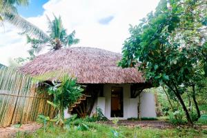 Κήπος έξω από το Bamboo Jungle Villa's