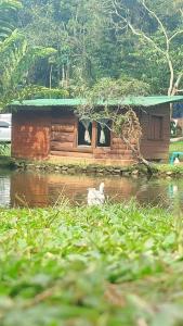 Příroda nedaleko penzionu