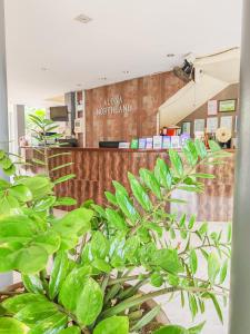 a plant in front of a store with a counter at Alona Northland Resort in Panglao Island +122 photos