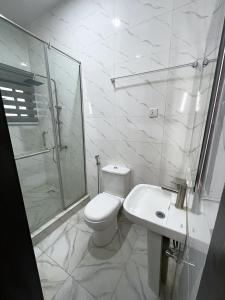 ein Badezimmer mit Toilette, Dusche und Waschbecken in der Unterkunft Luxurious 2bedroom Apartment PS5 in Ibadan