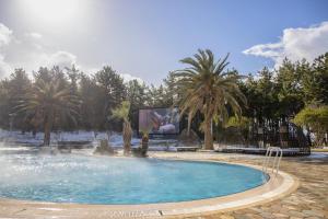 una piscina en un parque con palmeras en Phoenix Island, en Seogwipo