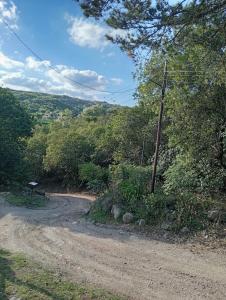 Naturlandskabet i nærheden af lejligheden