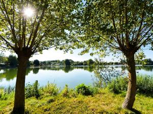 deux arbres dans l'herbe près d'un lac dans l'établissement Charmante Maison à Recques-sur-Hem, 2 pers, Animaux Acceptés, Jardin, Proche Calais et St Omer - FR-1-376-58, à Recques-sur-Hem