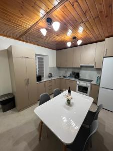 Η κουζίνα ή μικρή κουζίνα στο Chișinău Quiet Stay