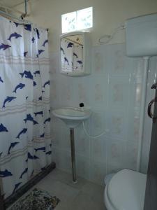 Ένα μπάνιο στο Caza di Maria a beira rio +30 φωτογραφίες