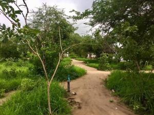 a dirt road with a blue parking meter on it at Camp Zora Selous in Kwangwazi