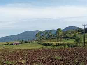 Φυσικό τοπίο κοντά σε αυτό το ξενοδοχείο
