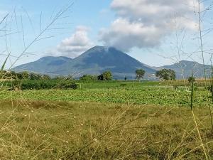 una montaña en la distancia con un campo de hierba en Castello, en Tomohon