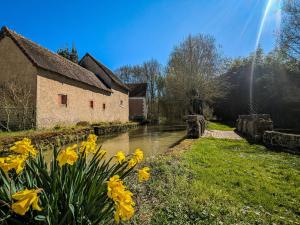 un groupe de fleurs jaunes devant un bâtiment dans l'établissement Moulin de Charme au Cœur du Berry, Proche Étang et Châteaux - FR-1-591-769, à Chabris