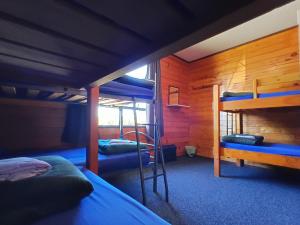 Ένα ή περισσότερα κρεβάτια σε δωμάτιο στο JunoHall Backpackers +69 φωτογραφίες